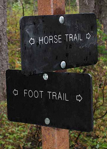 horse trail